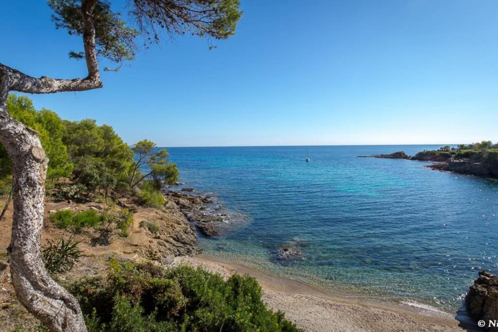 Roquebrune-Sur-Argens, Villa 2 Pieces, 4 Personnes Zewnętrze zdjęcie