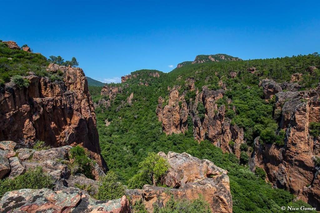 Roquebrune-Sur-Argens, Villa 2 Pieces, 4 Personnes Zewnętrze zdjęcie